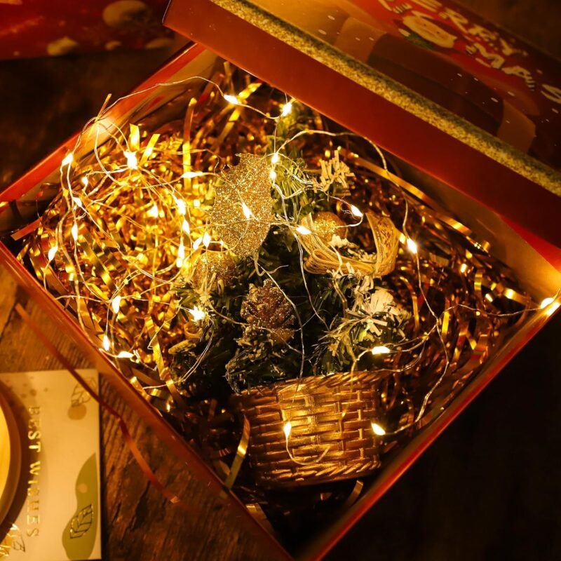20 LED Vielinė Girlianda, šiltai balta - Image 3