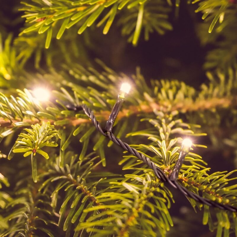 500 LED Girlianda, šiltai balta - Image 4